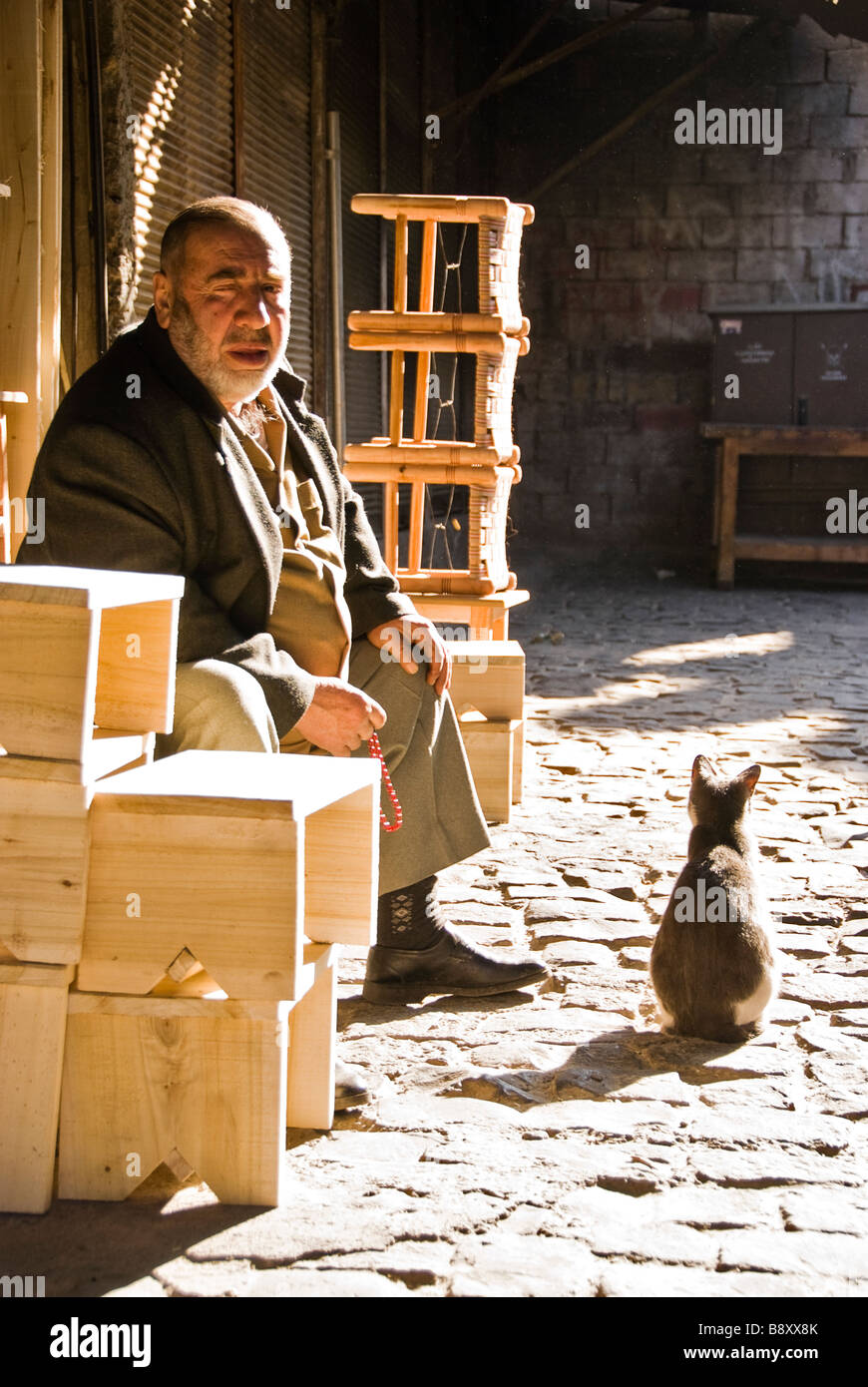 Uomo e un gatto, Diyarbakir, Turchia, Asia Foto Stock