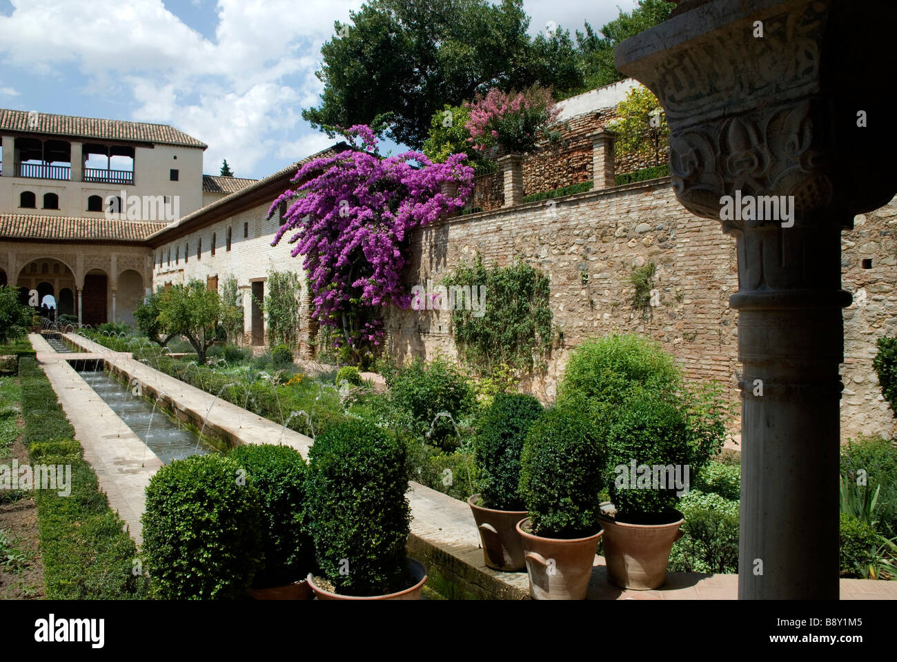 Fiori e piante in un giardino, Alhambra di Granada, Andalusia, Spagna Foto Stock