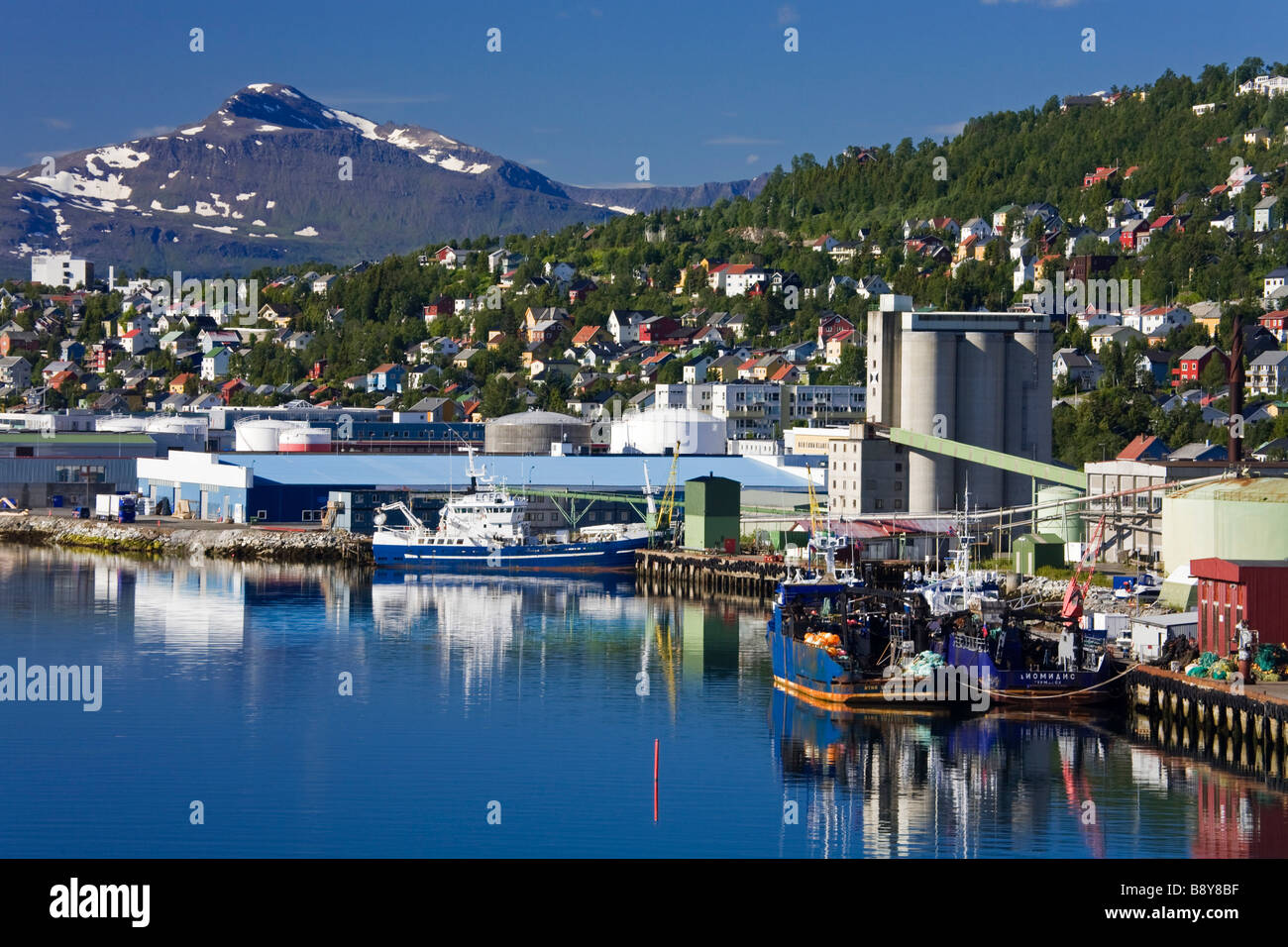 La pesca a strascico in una dock commerciale, Tromso, Toms County, Nord-Norge, Norvegia Foto Stock