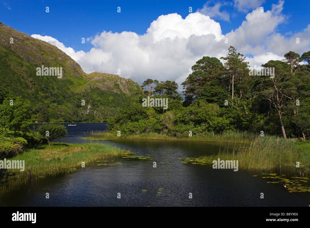 Il lago in una foresta, Lago di Kylemore, Connemara, nella contea di Galway, Connacht Provincia, Repubblica di Irlanda Foto Stock