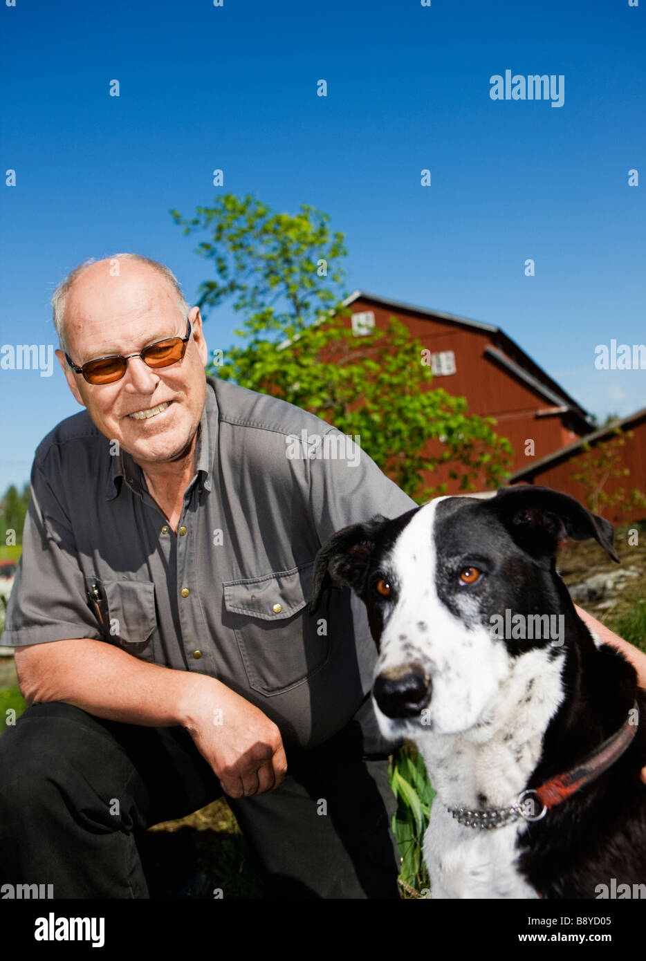 Un uomo che gioca con un cane in Svezia. Foto Stock