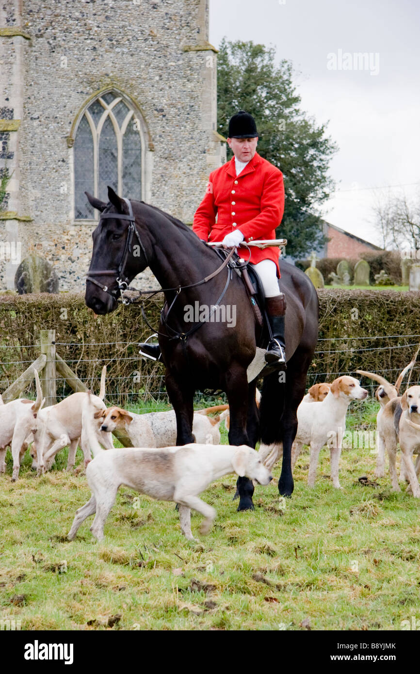 Huntsman e foxhounds dell'Essex e Suffolk Hunt Inghilterra Foto Stock