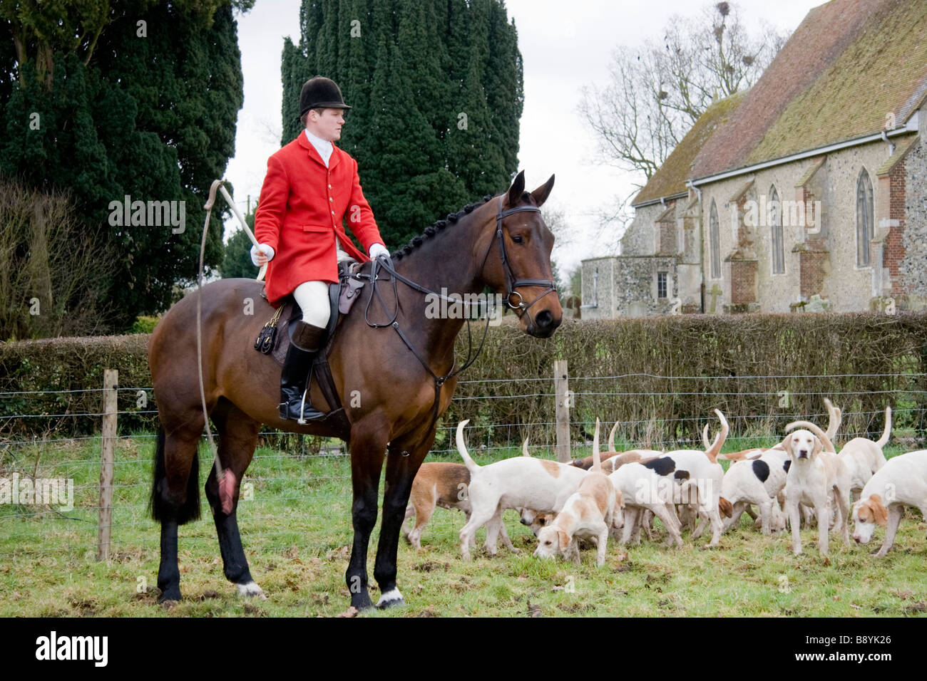 Whipper in e foxhounds dell'Essex e Suffolk Hunt Inghilterra Foto Stock