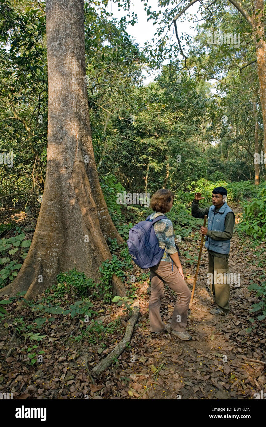 Visita guidata nel Parco nazionale di Royal Chitwan Sauraha Nepal Foto Stock