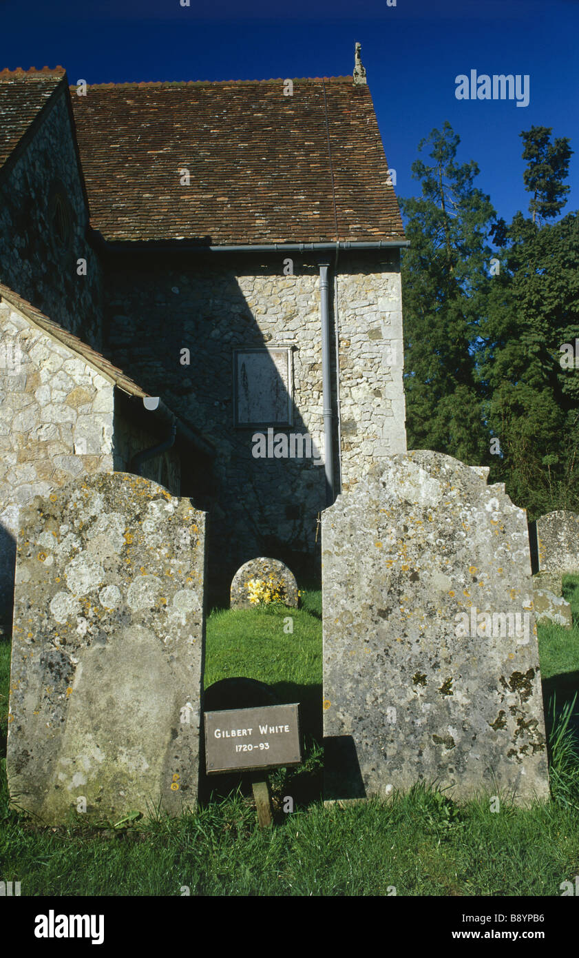 Selborne Hill, Selborne Foto Stock