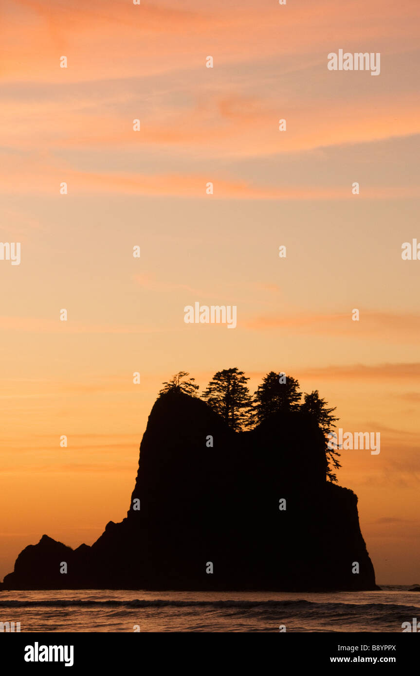 Seastack e al tramonto, Punto di archi, Shi Shi Beach, Parco Nazionale di Olympic, Washington Foto Stock