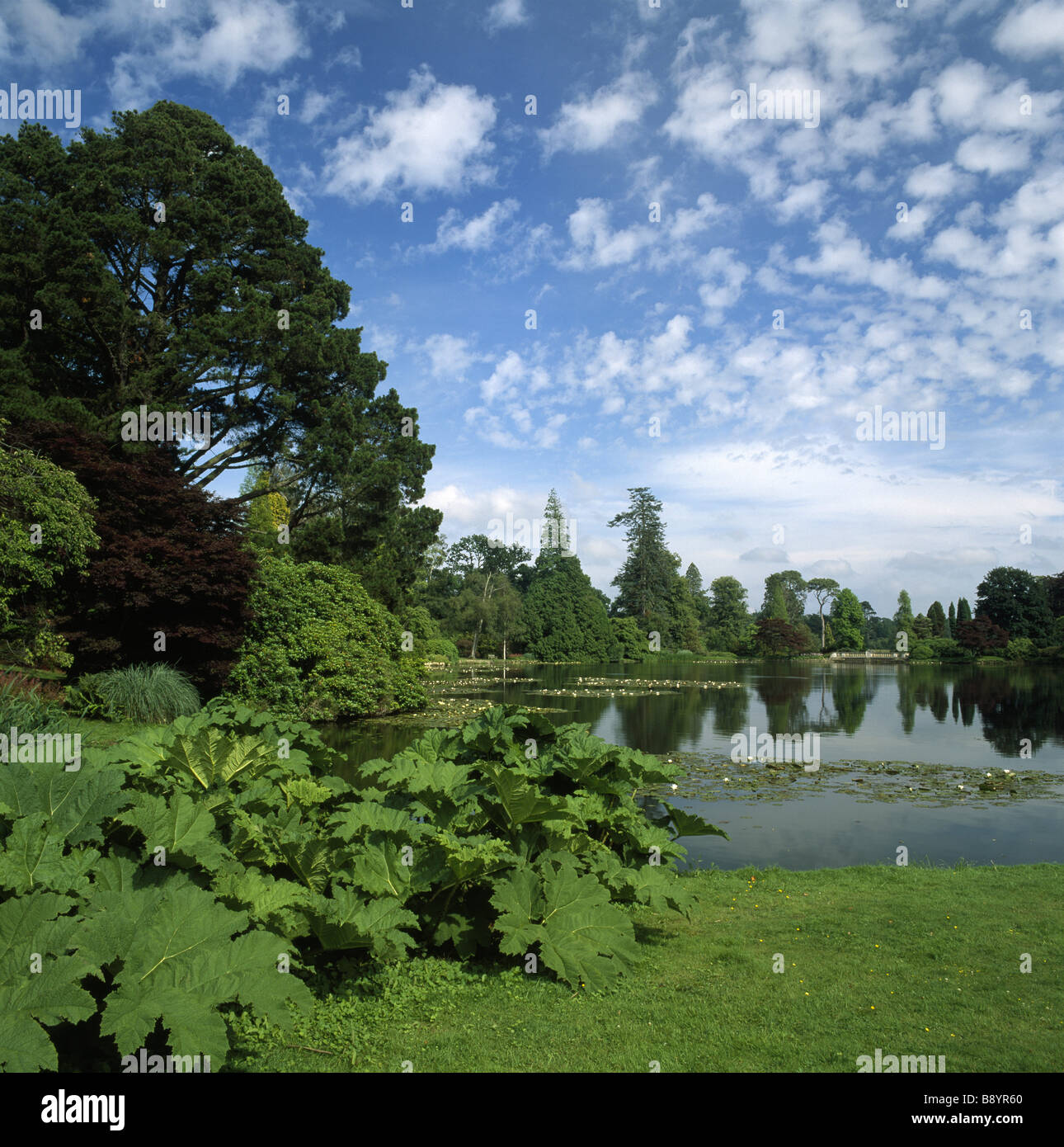 Il primo lago o dieci piedi stagno a Sheffield Park Gardens su una bella giornata d'estate Foto Stock