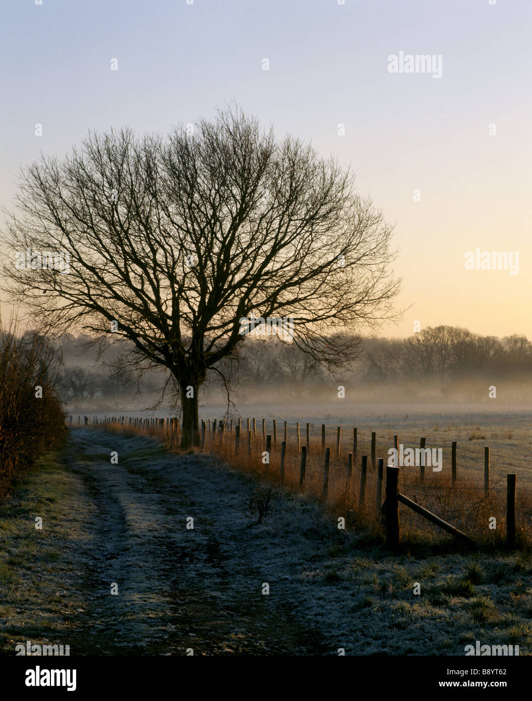 Un albero nudo stagliano sullo sfondo il pupazzo di neve presso il castello di Sissinghurst Garden Foto Stock