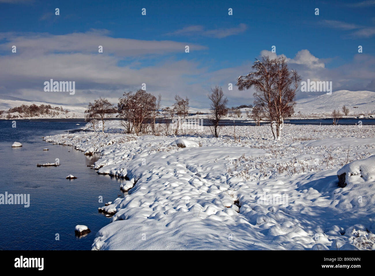 Viale alberato paesaggi innevati, Rannoch Moor, guardando ad est, Highlands scozzesi, Scotland, Regno Unito, Europa Foto Stock