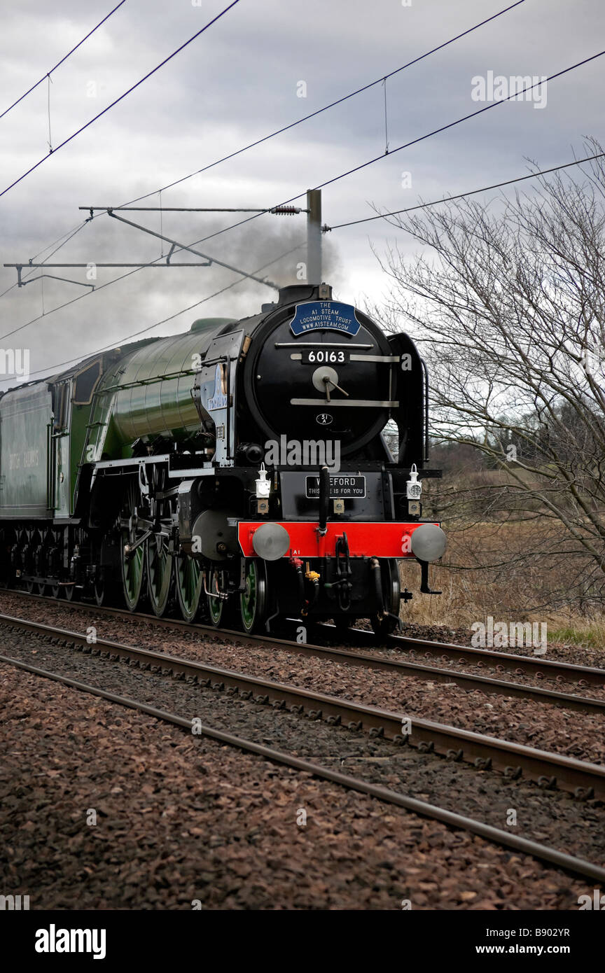 Tornado motore di vapore è una nuova classe di Peppe A1 Pacific locomotore raffigurata sul suo primo viaggio in Scozia nel febbraio 2009 Foto Stock