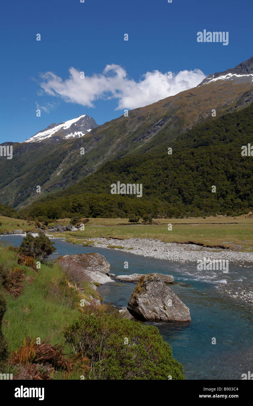 La Siberia esperienza bush a piedi attraverso la valle Wilkin nel montare gli aspiranti World Heritage National Park, Isola del Sud, Nuova Zelanda Foto Stock