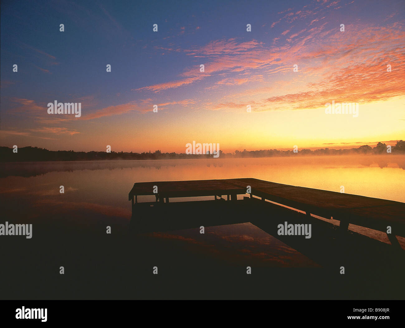 FL0506, una palude; Dock, Lago Wilcox,Ontario, Canada Foto Stock