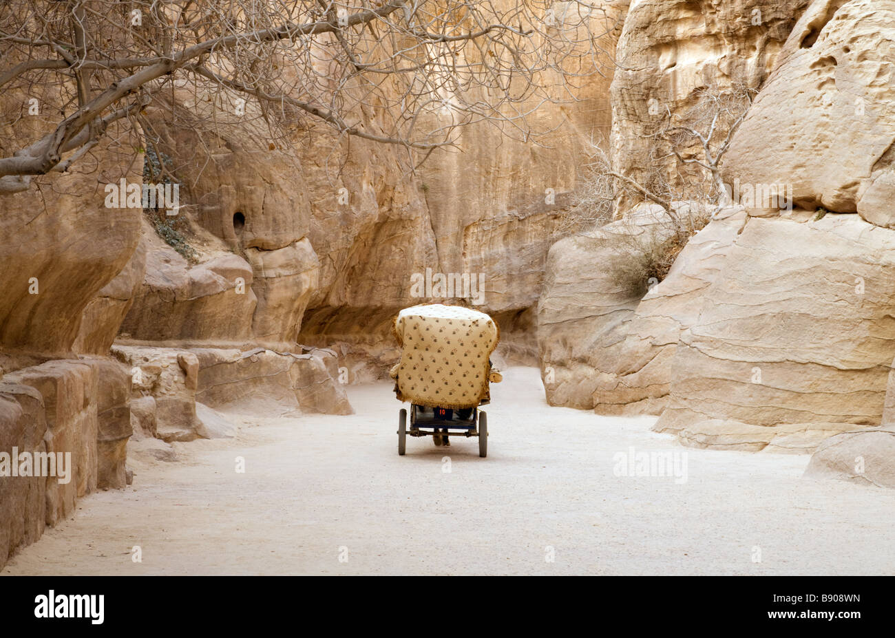 Un cavallo e un carrello fa il suo modo attraverso il Siq all'entrata di Petra, Giordania Foto Stock