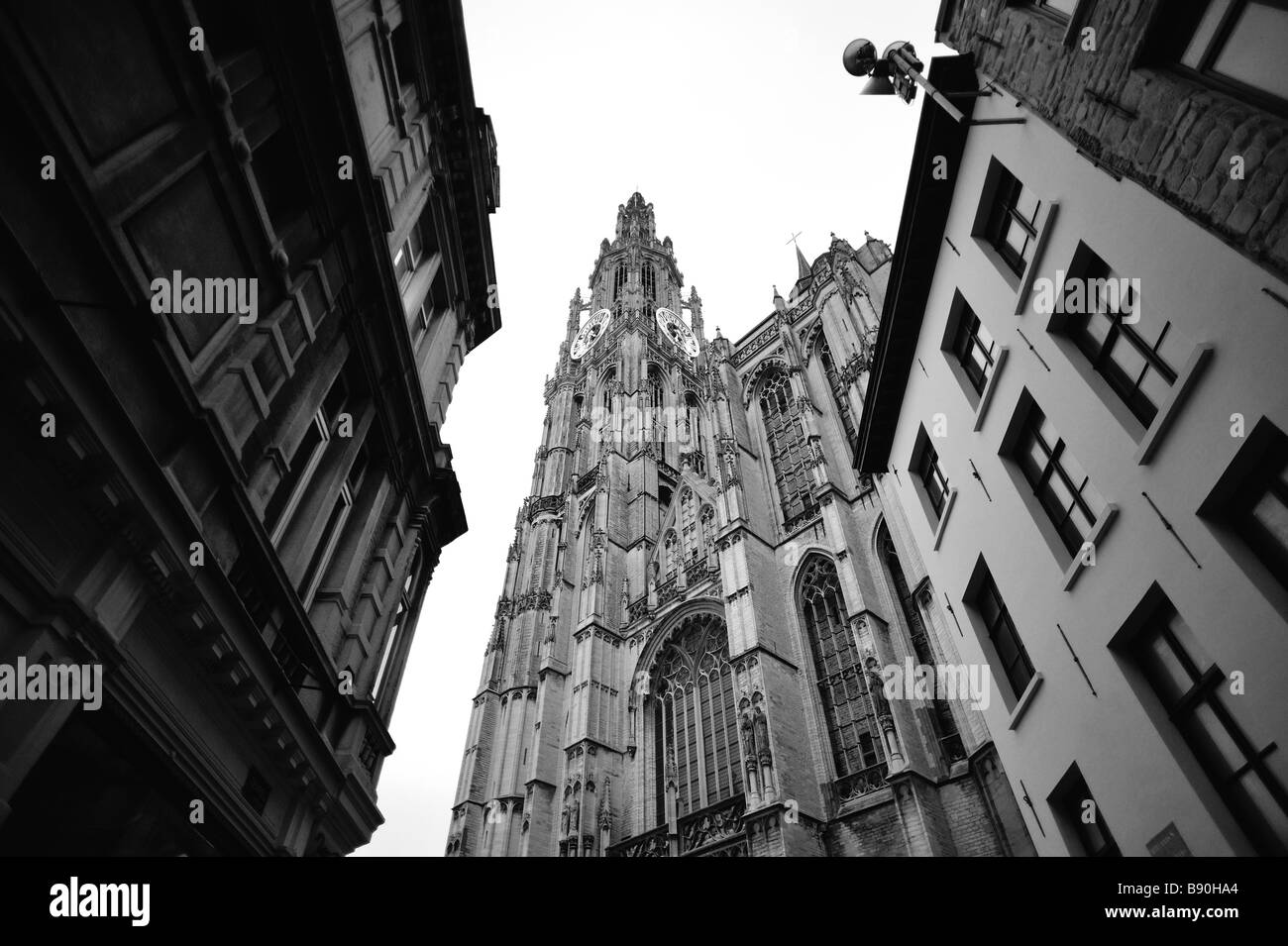 Prospettiva di rana di Anversa Cattedrale di Nostra Signora di Anversa, Belgio Foto Stock