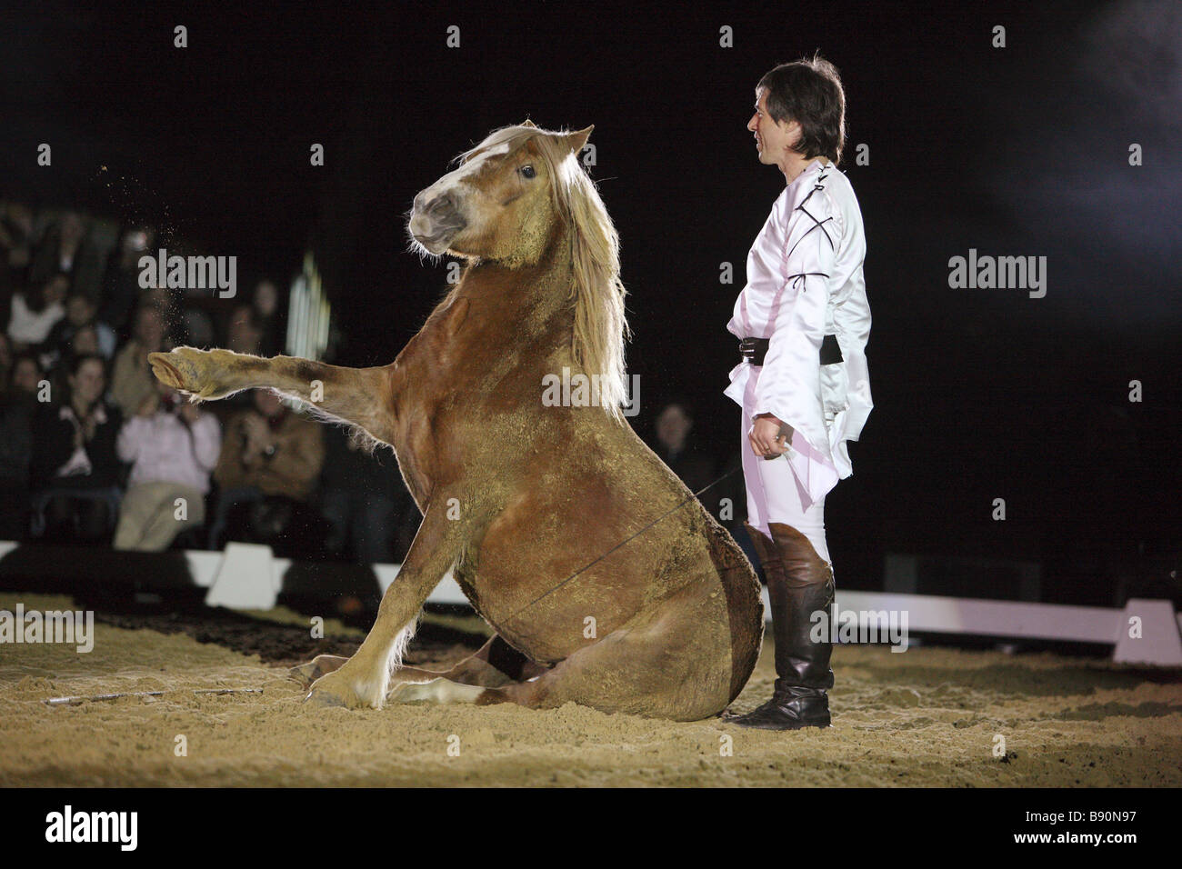 Uomo e cavallo Pony Foto Stock