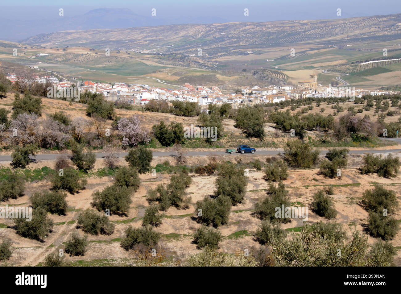 Olio d'oliva e mandorla paesaggio agricolo vicino a Alhama de Granada Sierra Tejeda Andalucia Spagna Meridionale Foto Stock