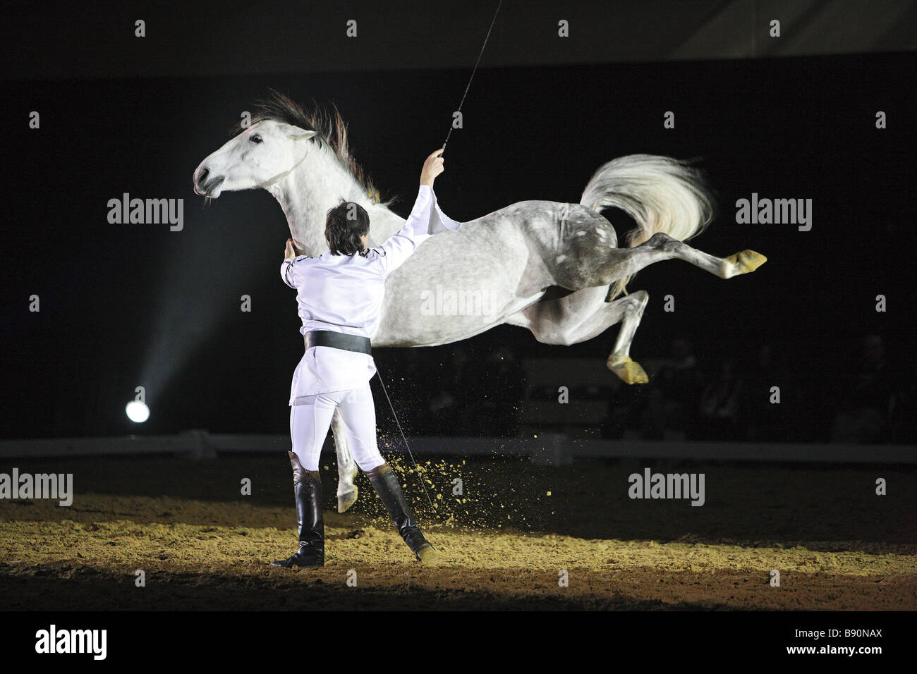 Uomo e cavallo lusitano Foto Stock