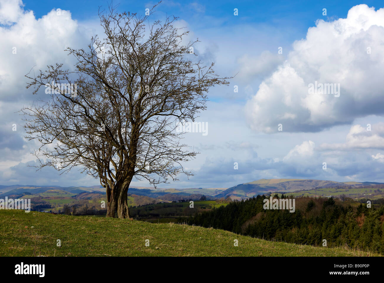 Giornata di Primavera nelle colline Welsh Foto Stock