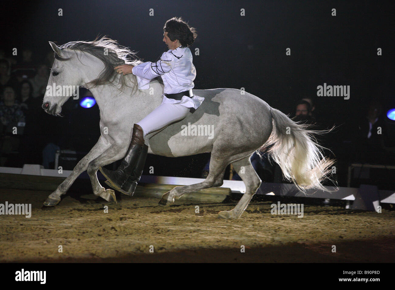 Uomo che cavalca il cavallo lusitano Foto Stock