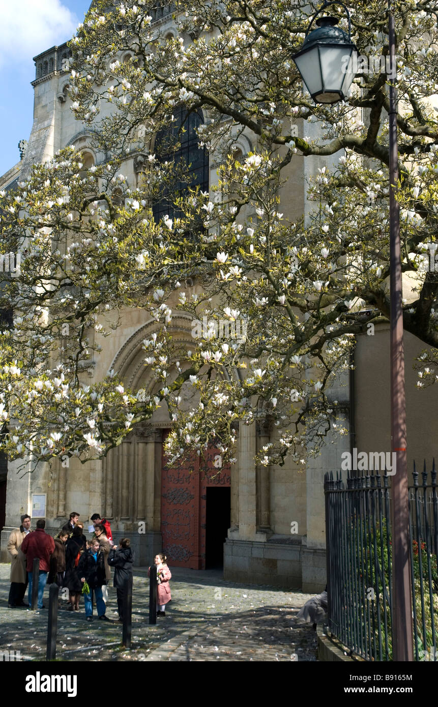 La Domenica delle Palme , 1 aprile , in Laval , Mayenne , France Foto Stock