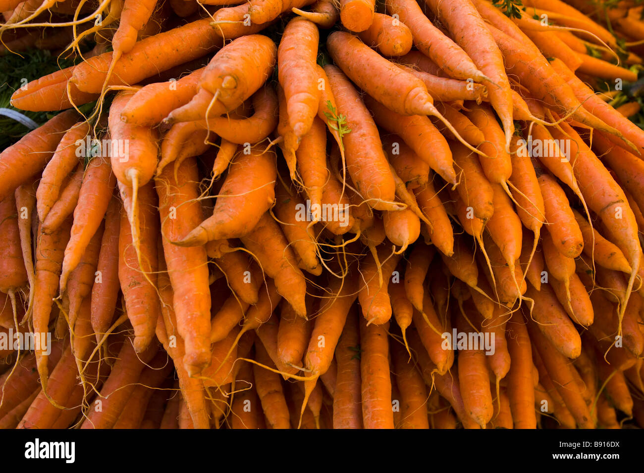 Prodotti biologici a Culver City Farmer s Market di Los Angeles County California USA Foto Stock