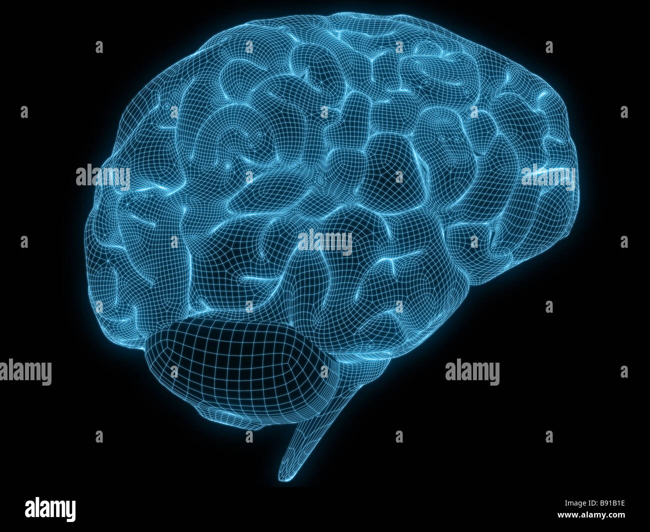 cervello di filo Foto Stock