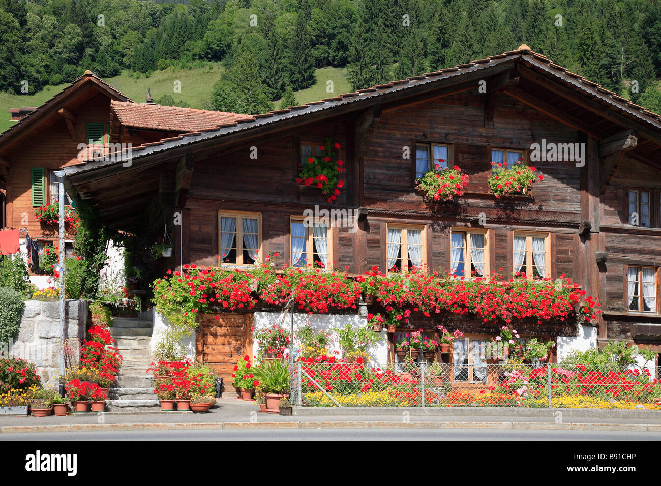 Simmentaler tradizionale agriturismo vicino al villaggio di Erlenbach a valle Simmental Berner Oberland svizzera Foto Stock