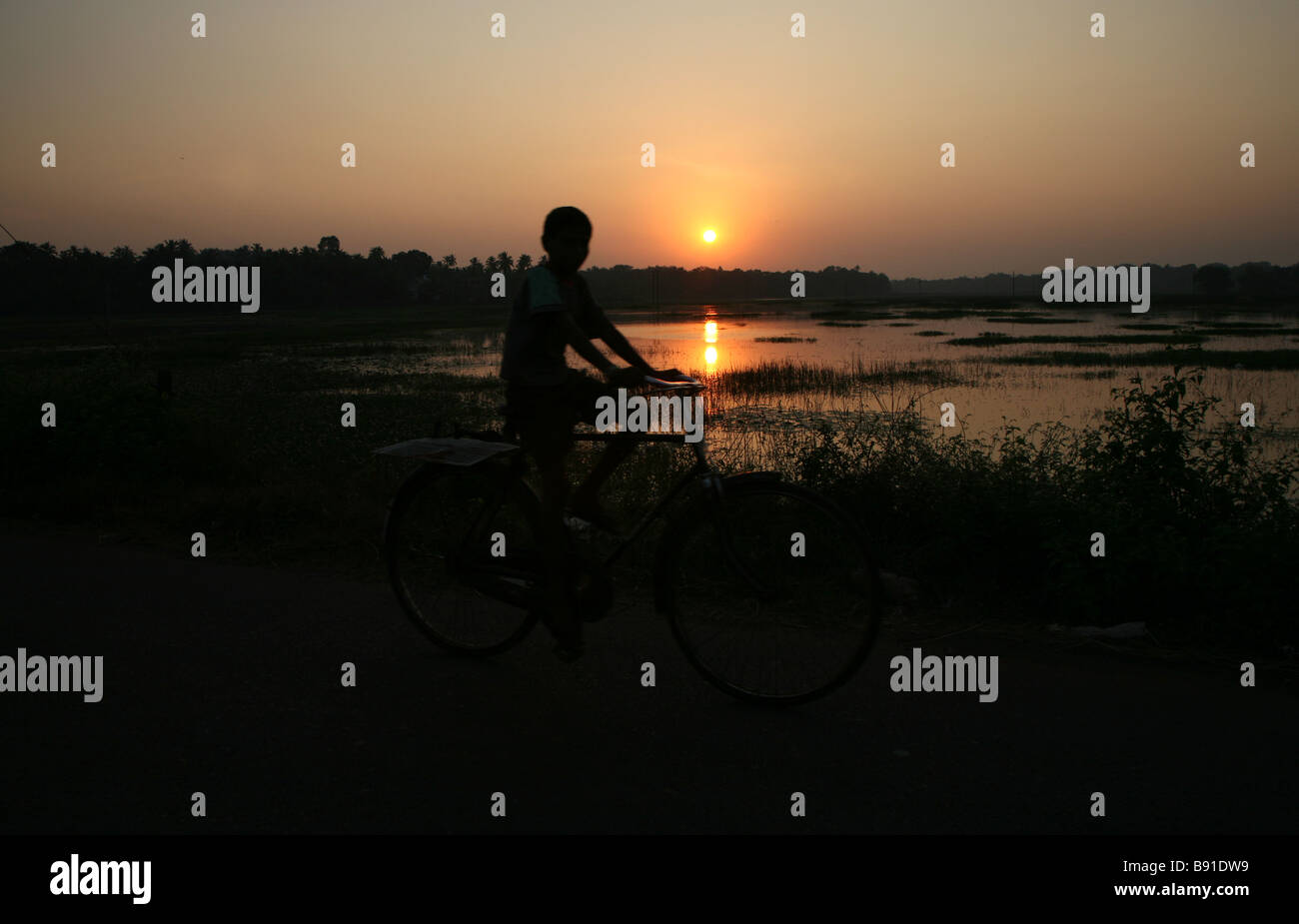 Un giovane ragazzo di cicli attraverso il villaggio di Mobor al tramonto in Goa, India. Foto Stock