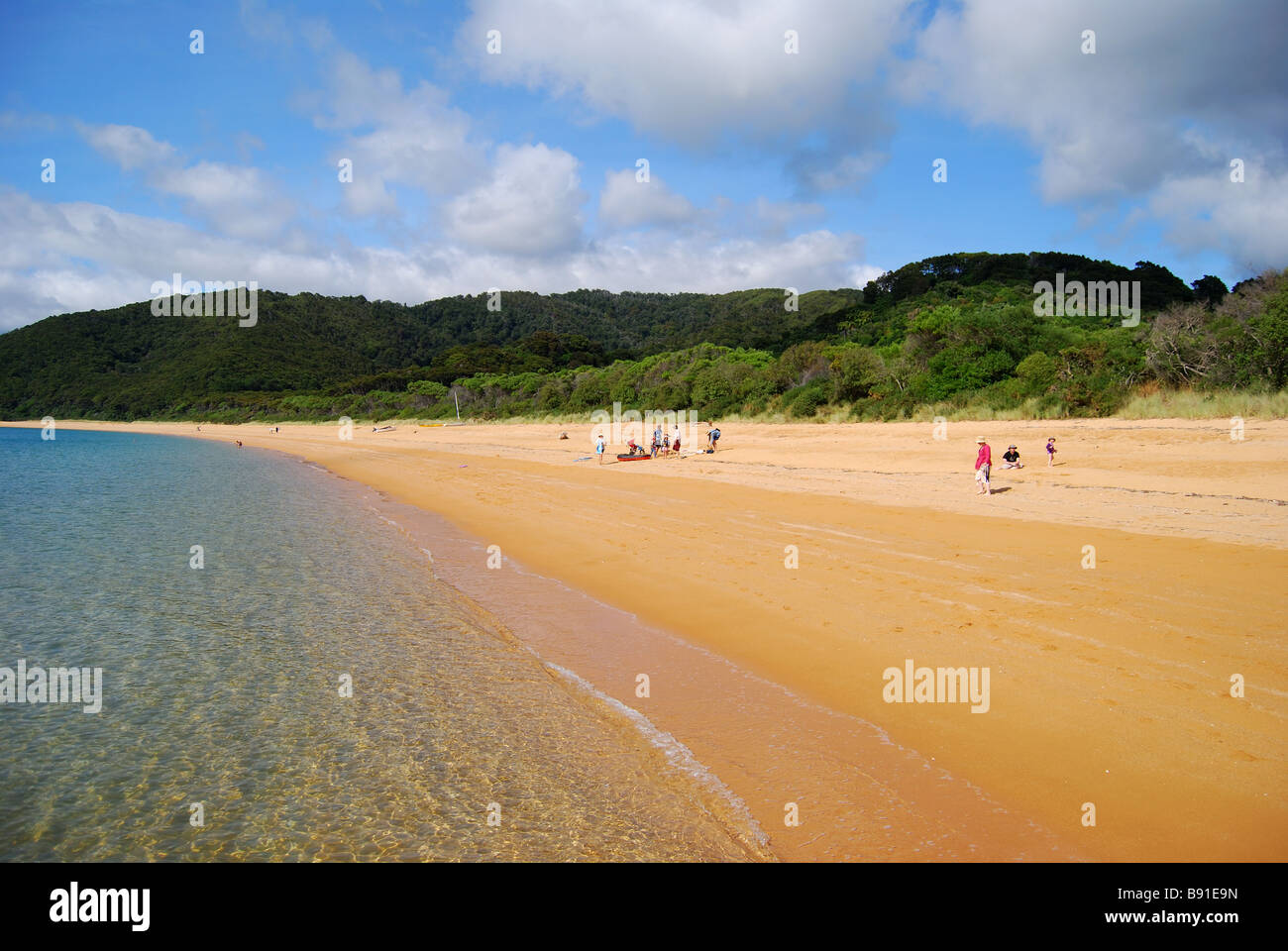 Totaranui Beach, il Parco Nazionale Abel Tasman, Tasmania, Isola del Sud, Nuova Zelanda Foto Stock