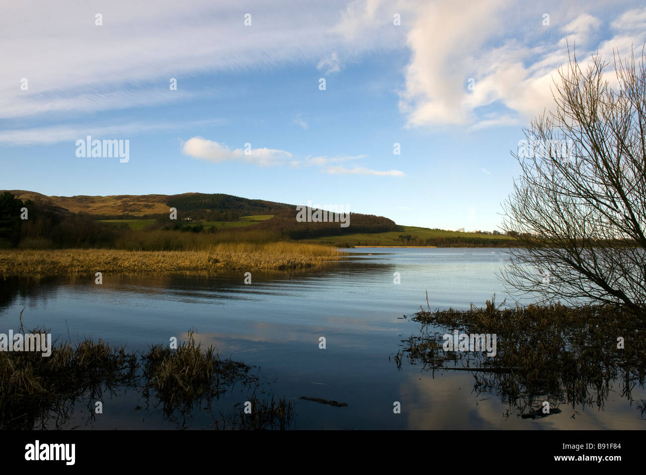 Paesaggio scozzese scenario Foto Stock