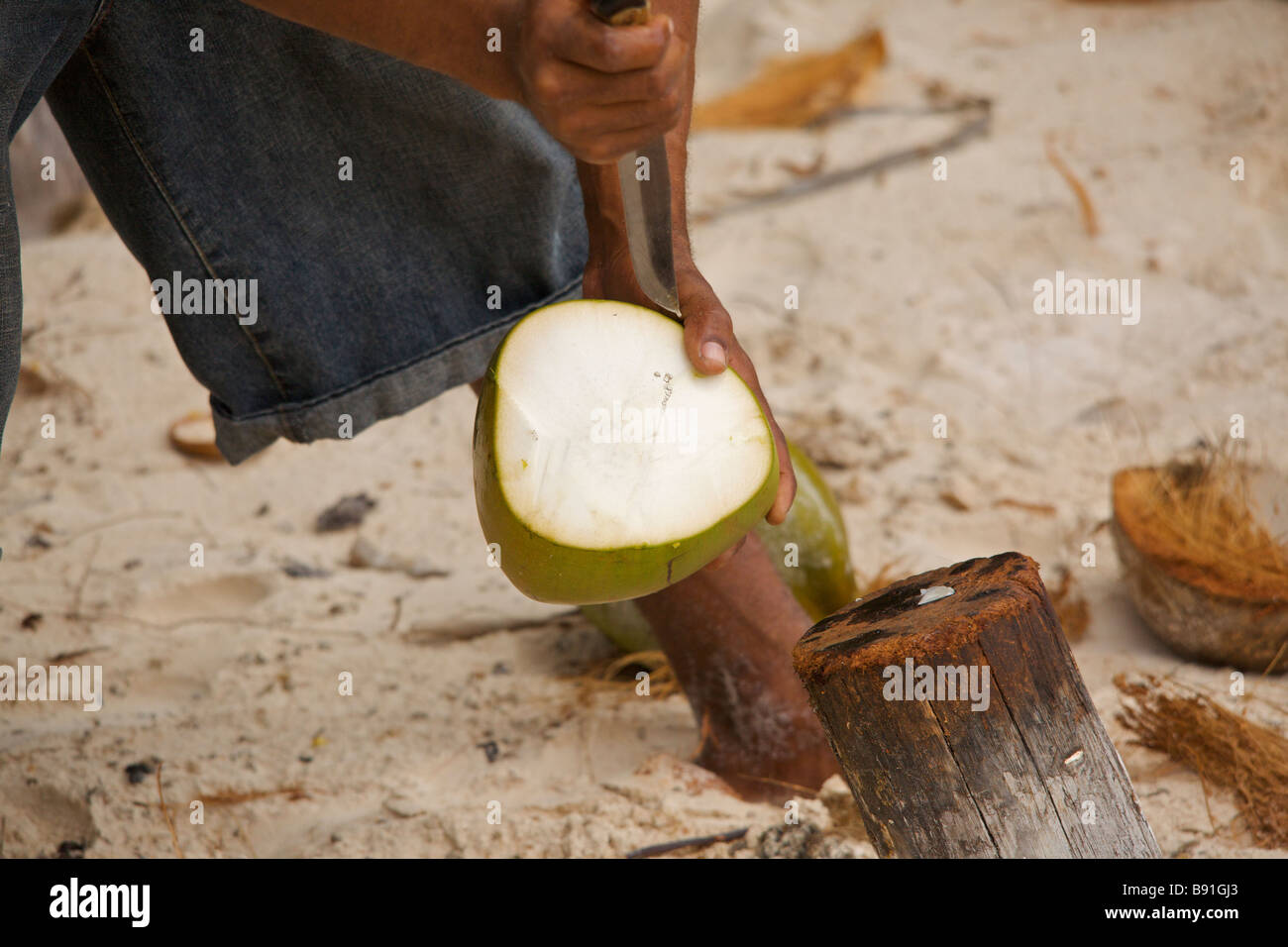 Giovane uomo Bajan apertura cocco fresco a gru "spiaggia", Barbados, 'West Indies' Foto Stock