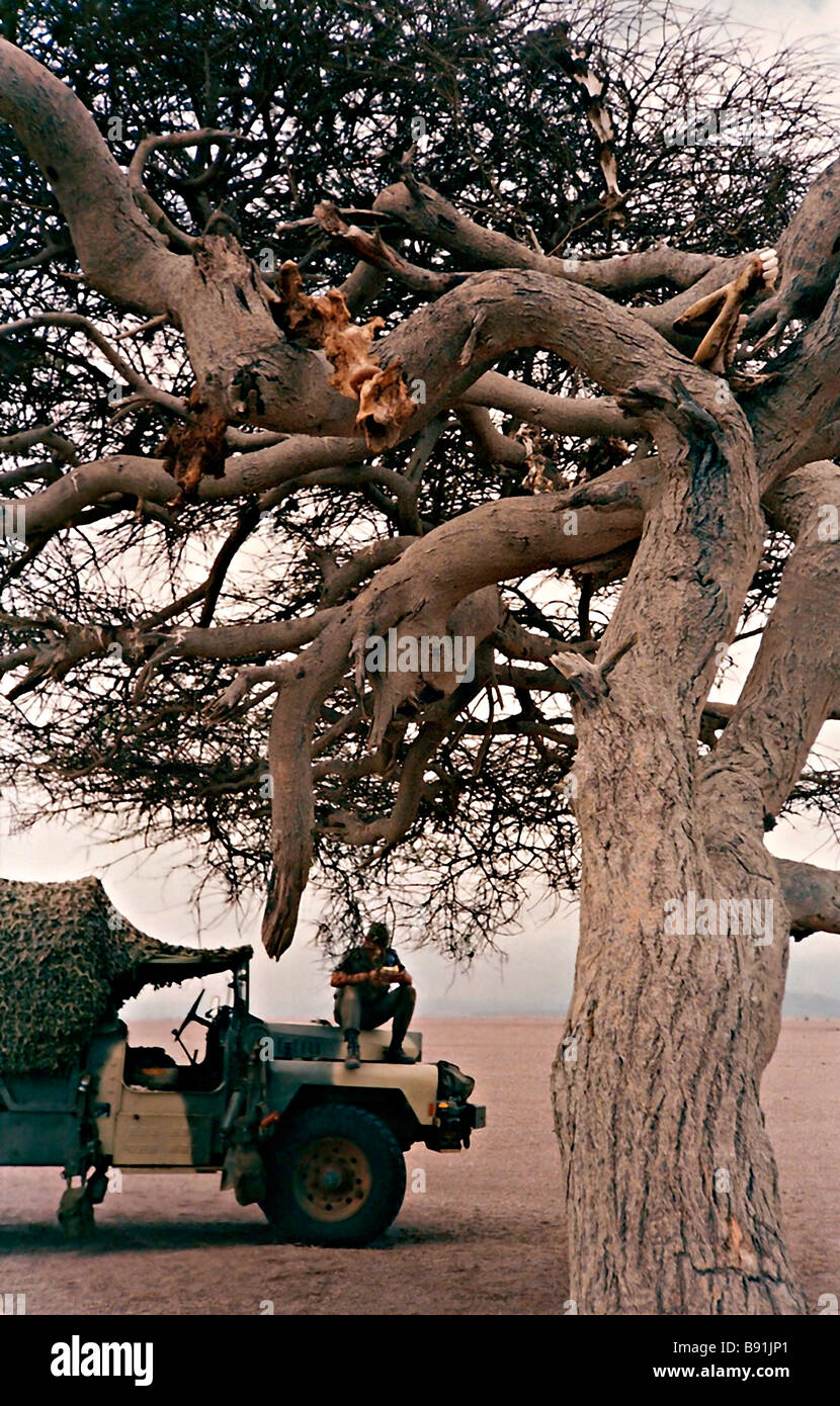 Veicolo fuoristrada VLRA nel dessert di Gibuti a nord-est Africa Legione Straniera francese 1990 Foto Stock