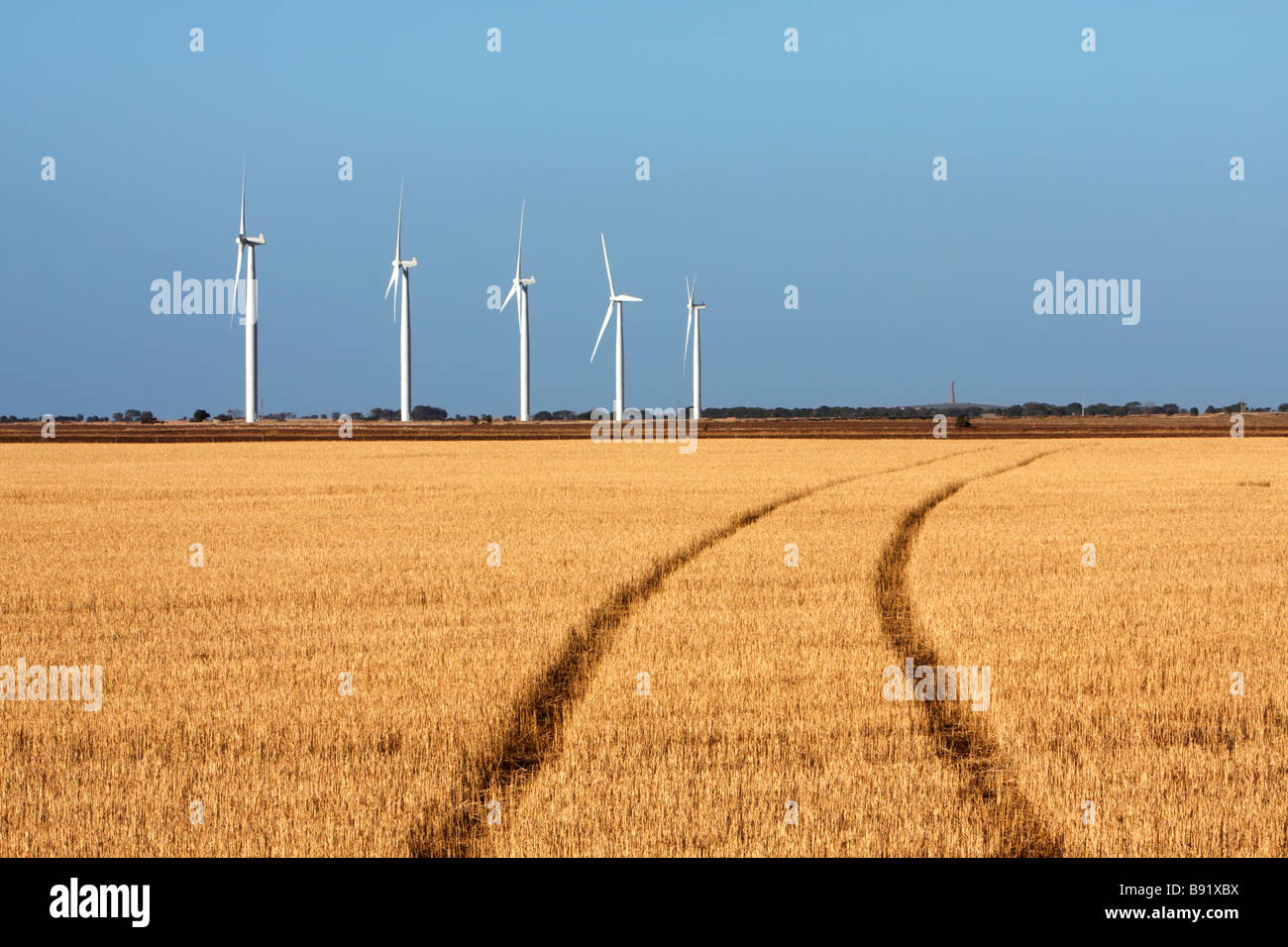 Edithburgh Wind Farm Foto Stock