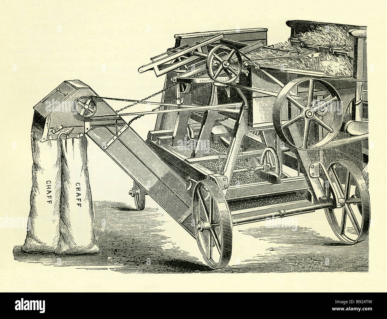 Pula taglierino usato nella fattoria in Epoca Vittoriana Foto Stock