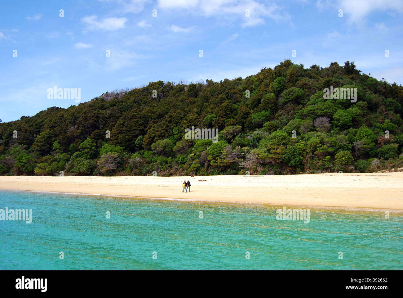 La baia di ancoraggio, il Parco Nazionale Abel Tasman, Tasmania, Isola del Sud, Nuova Zelanda Foto Stock