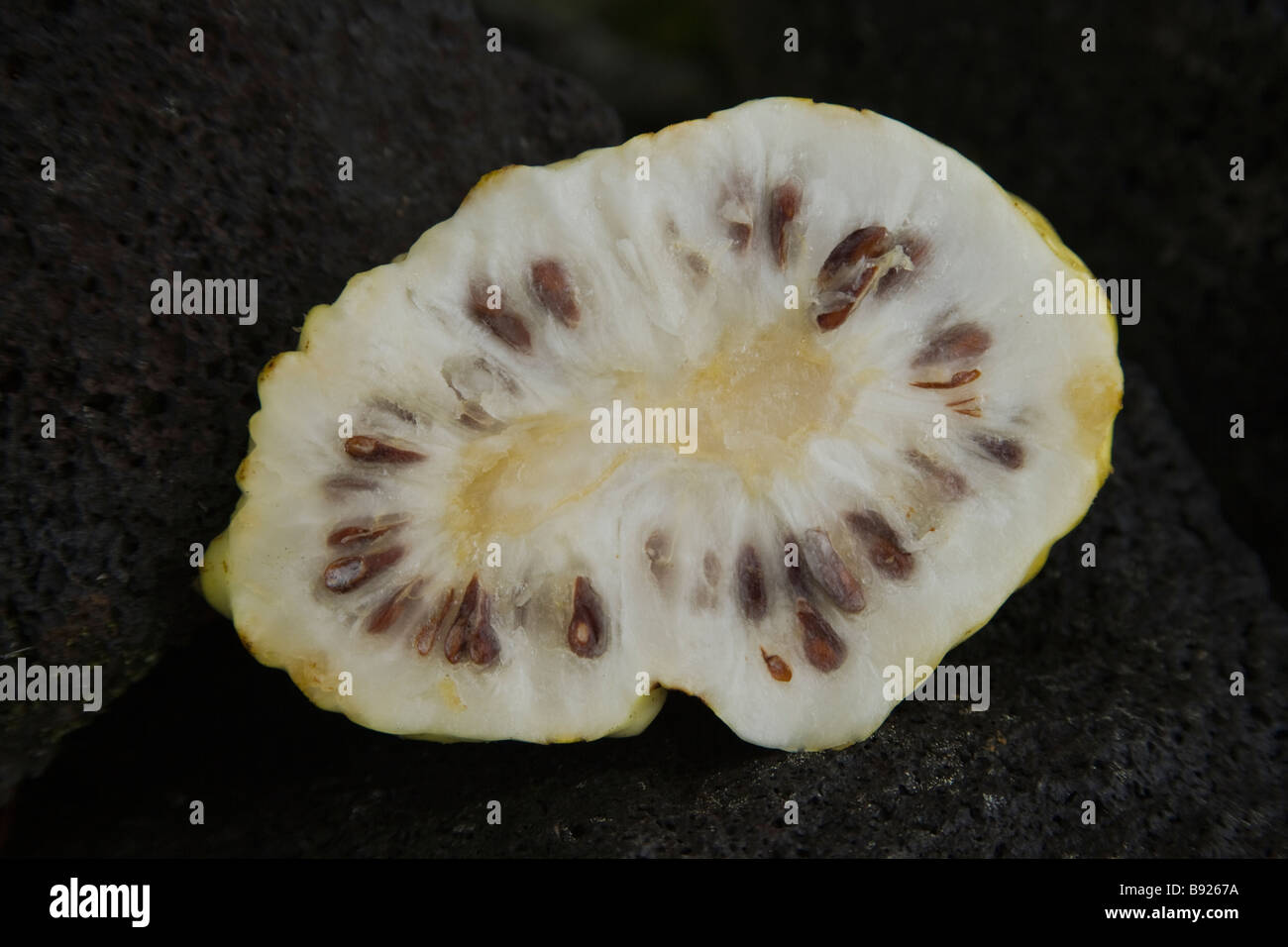 Primo piano della dimezzato Noni frutto. Foto Stock