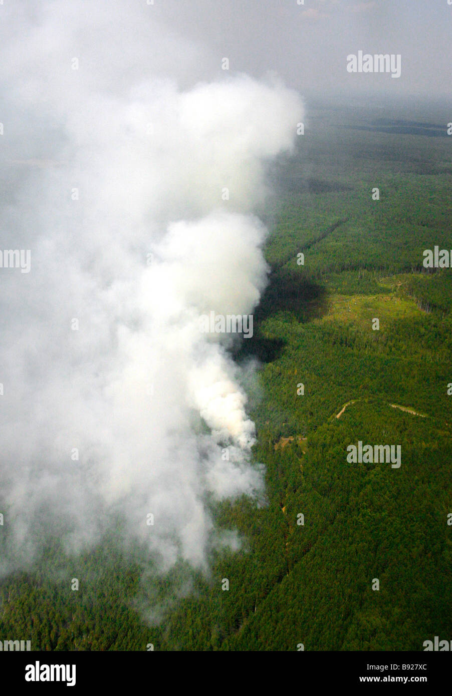 Una superficie incendio in Meshchera parco nazionale di Gus Khrustalny distretto la regione di Vladimir Foto Stock