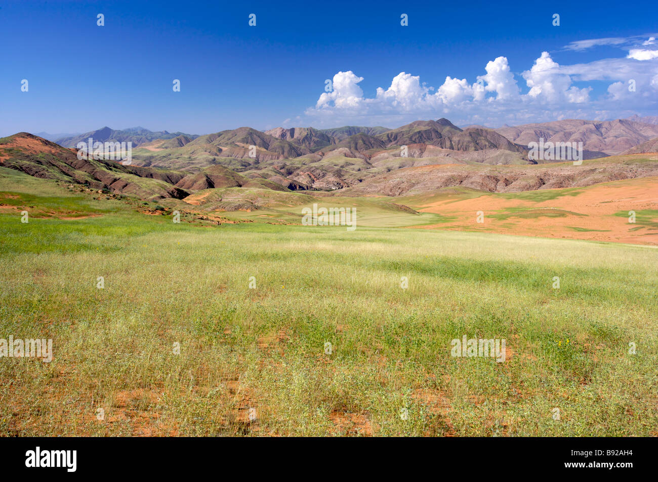 Scena di Kunene River Valley vicino al fiume Kunene con Angola montagne sullo sfondo della Namibia Foto Stock