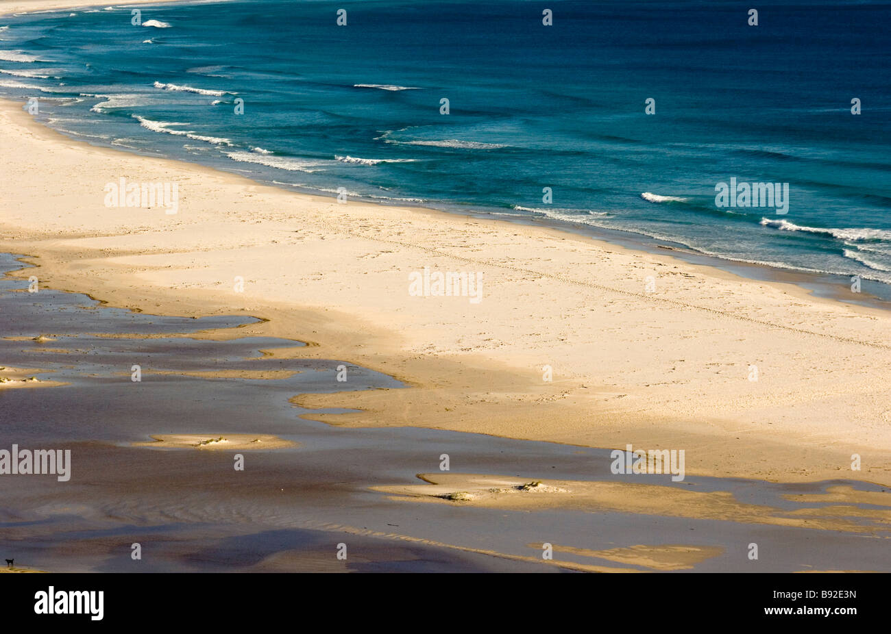 Noordhoek Beach Chapmans Peak Drive Noordhoek Penisola del Capo Western Cape Province Sud Africa Foto Stock