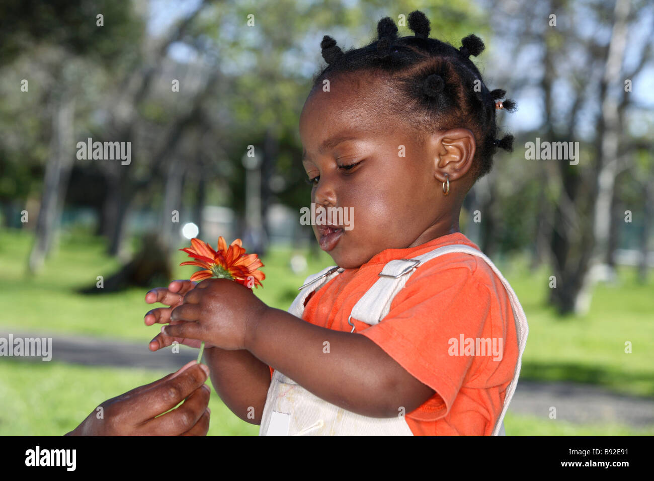 Baby girl tenendo un fiore parco Dewaal Cape Town Western Cape Province Sud Africa Foto Stock
