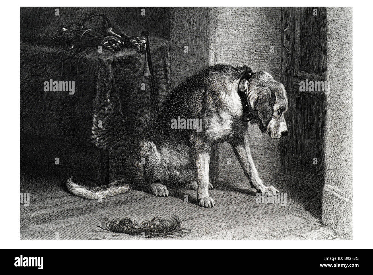 L'amico in sospeso del cane di Terranova emozione Hound Sir Edwin Landseer pittore Foto Stock