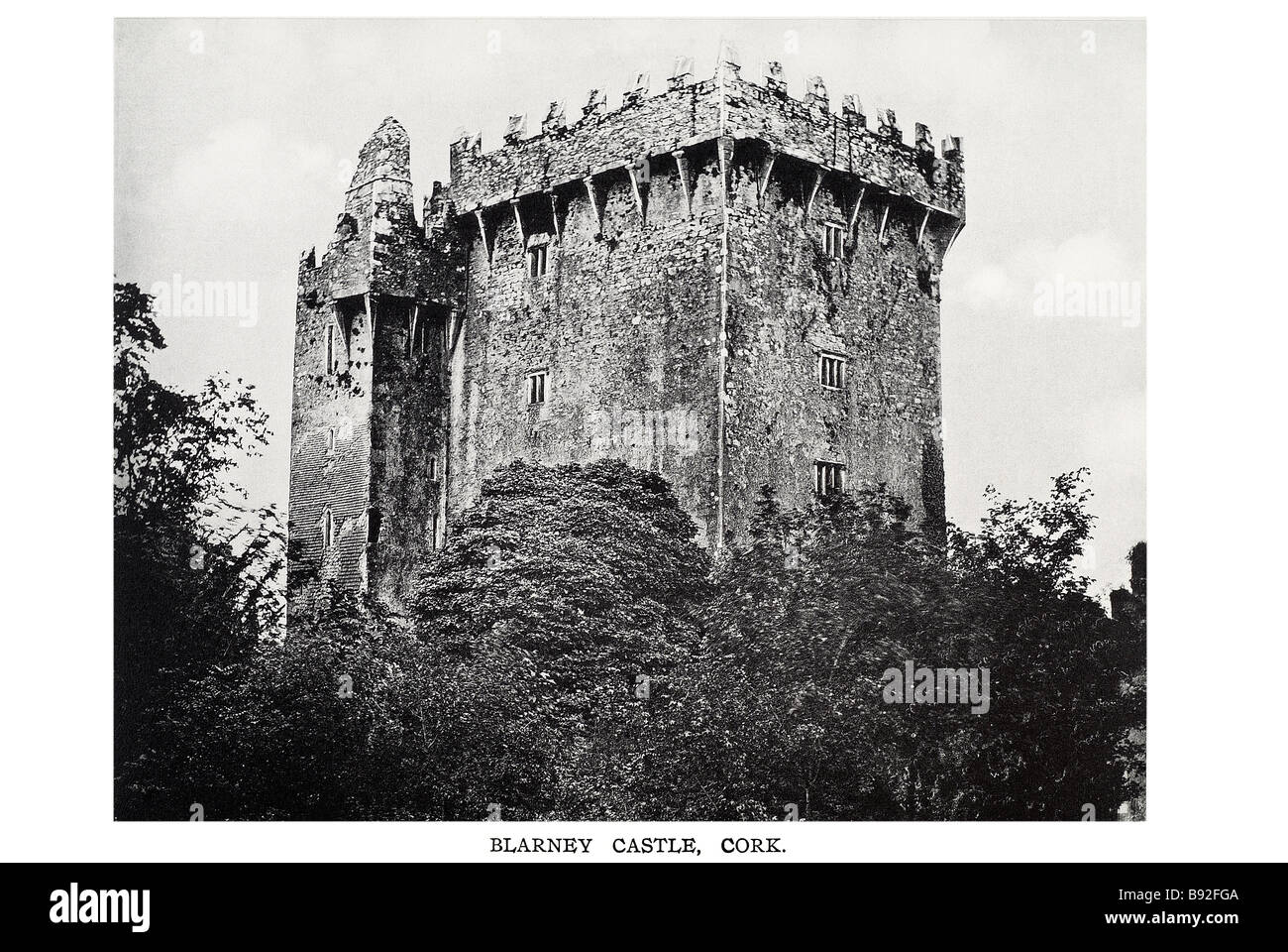 Blarney Castle cork Blarney Castle è una roccaforte medievale in Blarney, vicino a Cork, Irlanda e il Fiume Martin. Il castello ori Foto Stock