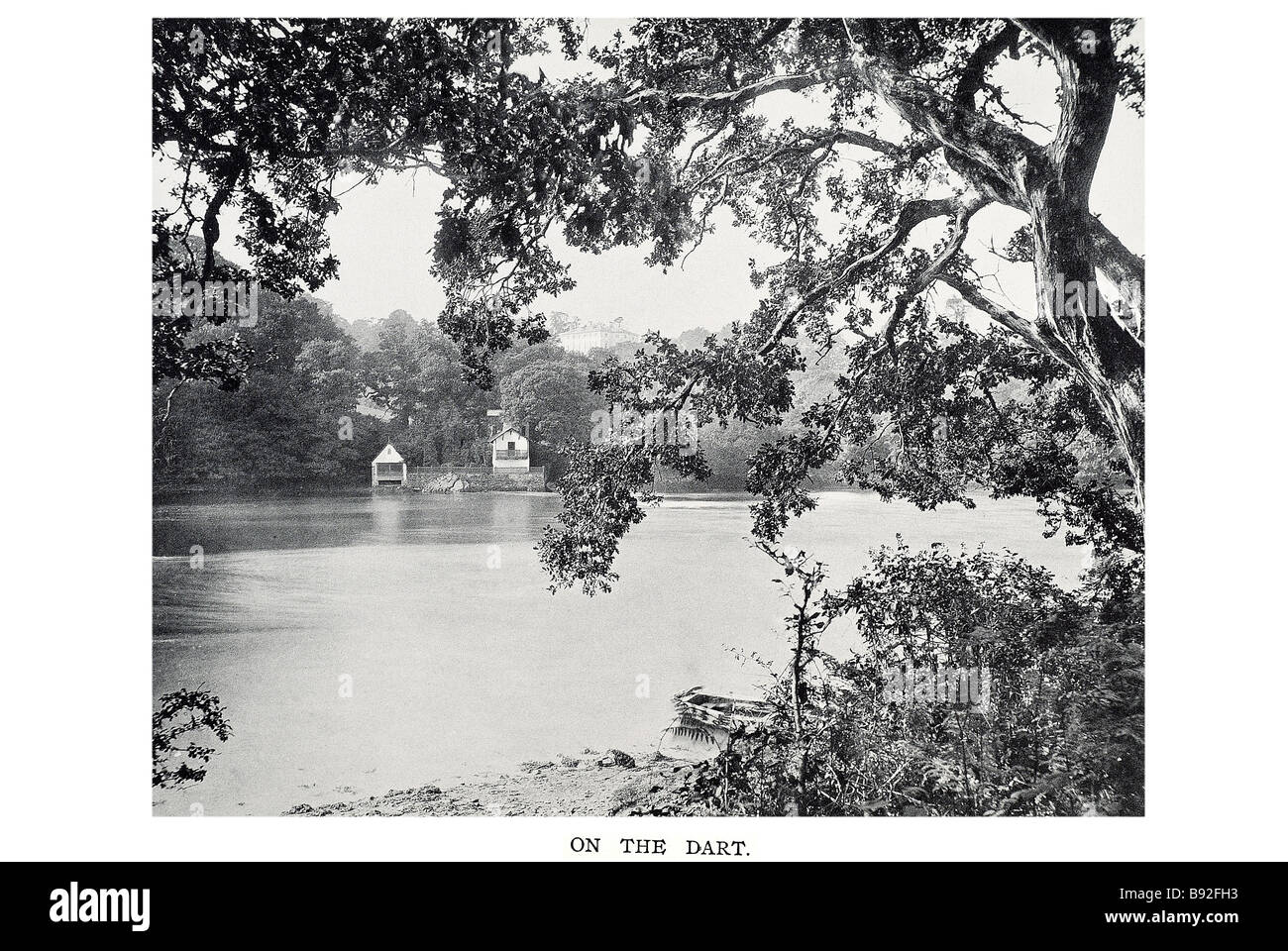 Sulla dart il fiume Dart è un fiume nel Devon, in Inghilterra, che si innalza su Dartmoor e rilascia al mare a Dartmouth. Il suo Foto Stock