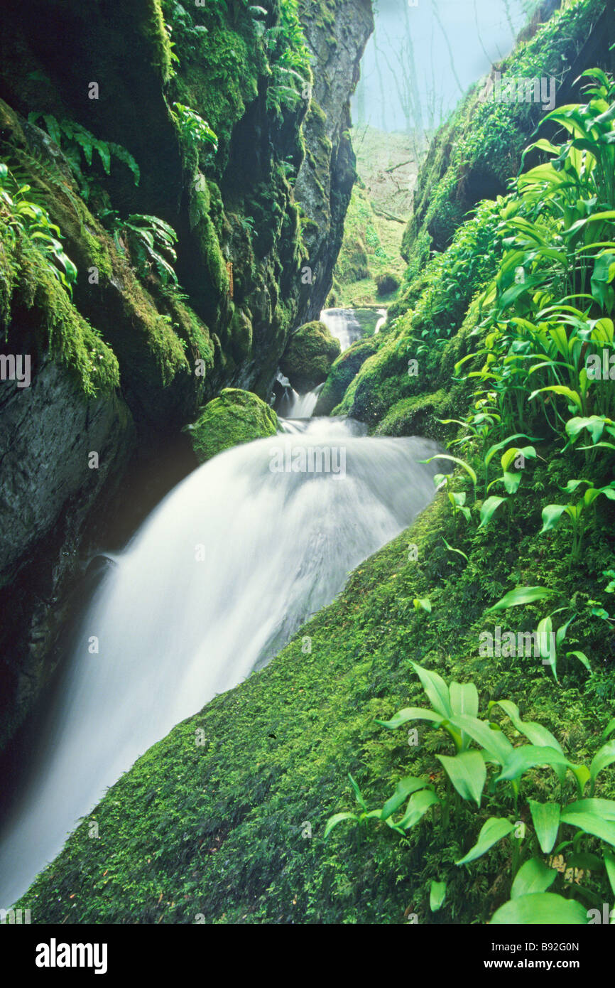 Cascata masterizzare di dolore Dollar Glen Foto Stock