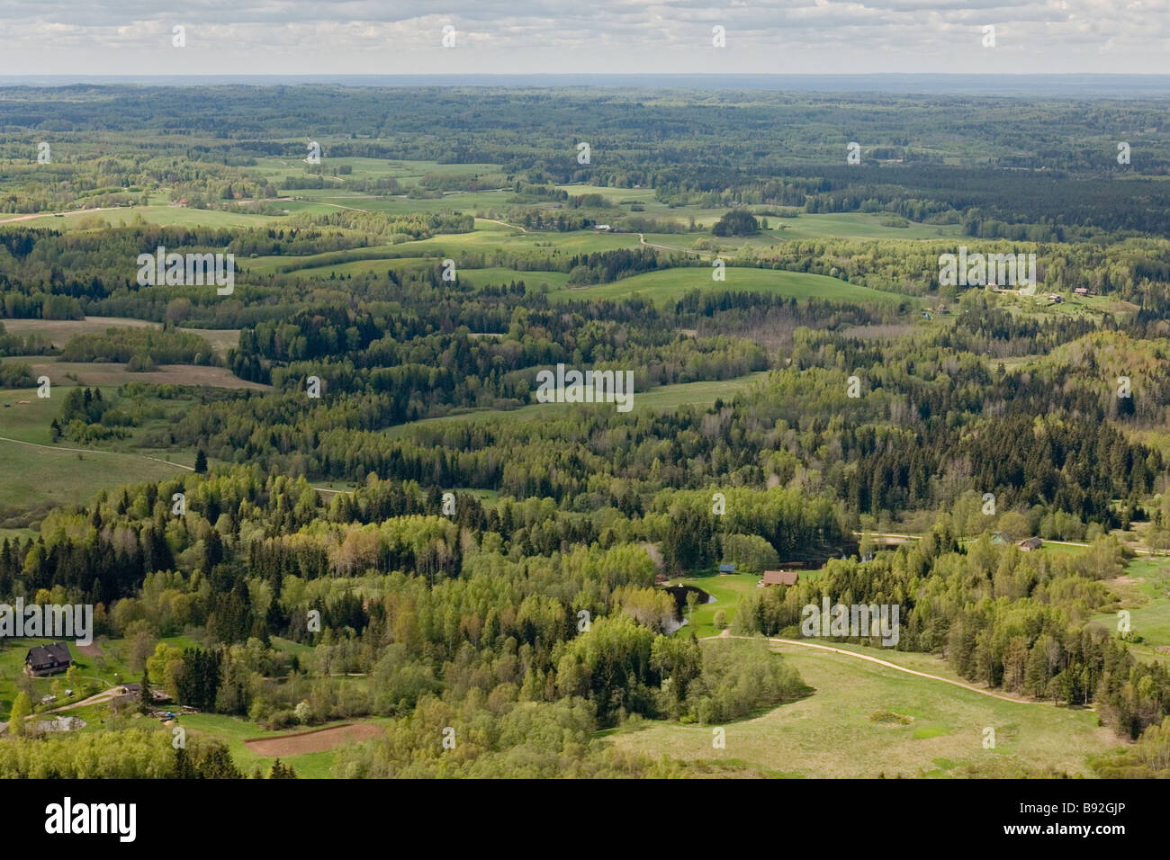 Valga County, Estonia, Europa Foto Stock