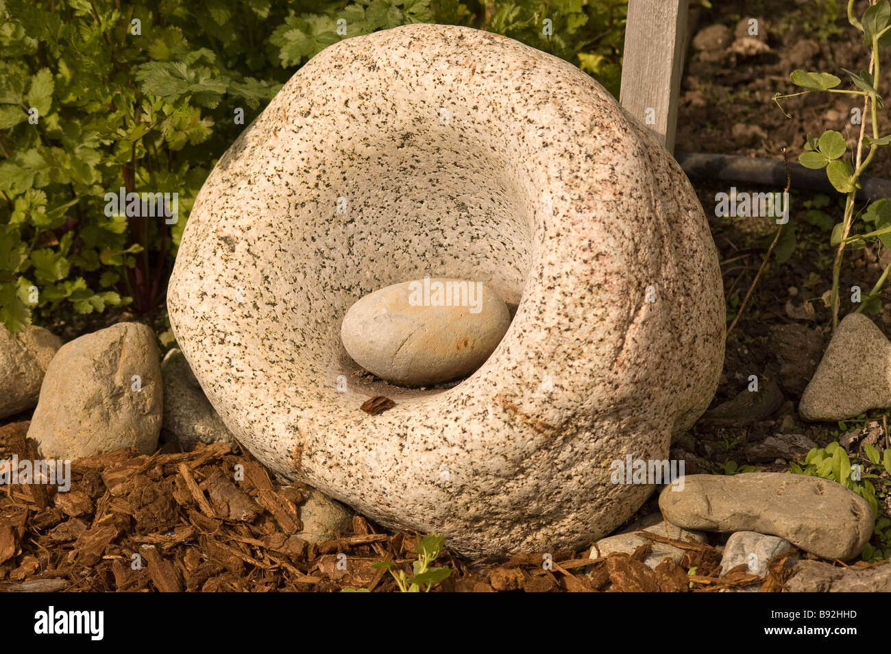 Metate (mola) utilizzati per macinare grano e altri tipi di granaglie e semi Foto Stock