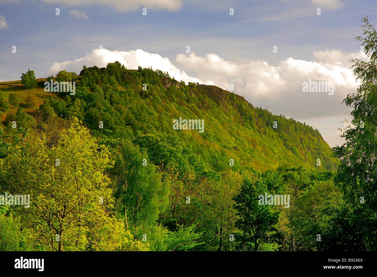 Paesaggio Walla roccioso affacciato Derwentwater Keswick Parco Nazionale del Distretto dei Laghi Cumbria County Inghilterra REGNO UNITO Foto Stock