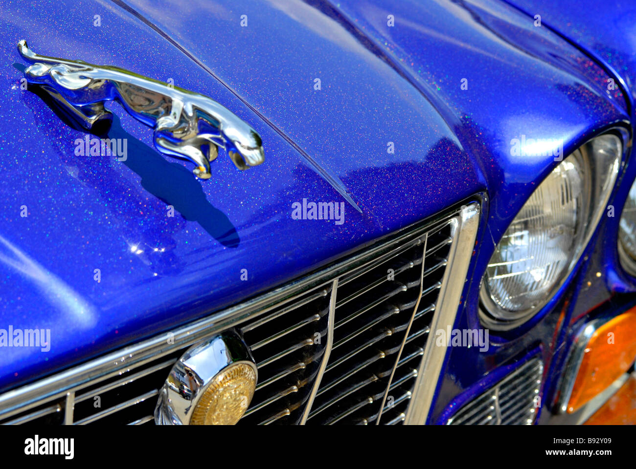 In prossimità della parte anteriore di un blu brillante Jaguar Foto Stock