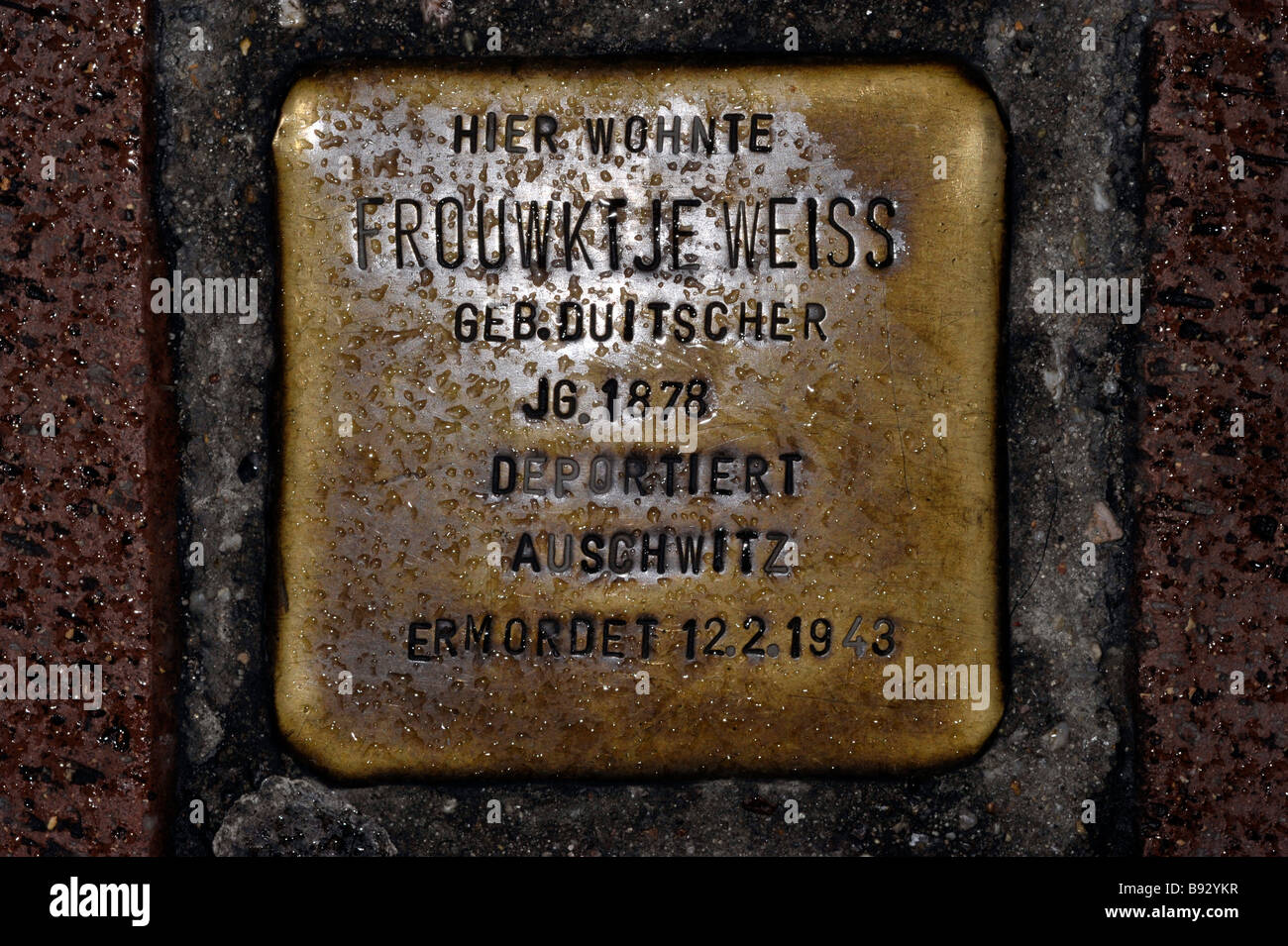 Frouwktje weiss stolpersteine pietra di inciampo gunter demnig memoriale ebreo omaggio alle vittime dell'olocausto il genocidio Foto Stock