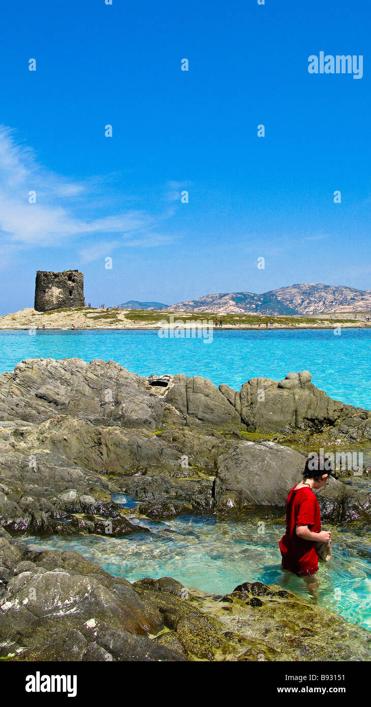 Spiaggia della Pelosa e Isola Piana con il vecchio spagnolo torre di difesa  in background. L'Isola dell'Asinara. Stintino. Provincia di Sassari.  Sardegna. Italia Foto stock - Alamy